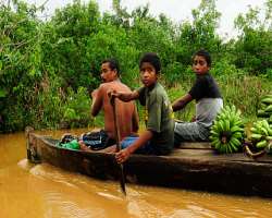 It is a home not only for animals but also for over two thousand indigenous people belonging to cultural groups like Pech, Iadino, Miskito, and Pech It is a home not only for animals but also for over two thousand indigenous people belonging to cultural groups like Pech, Iadino, Miskito, and Pech.